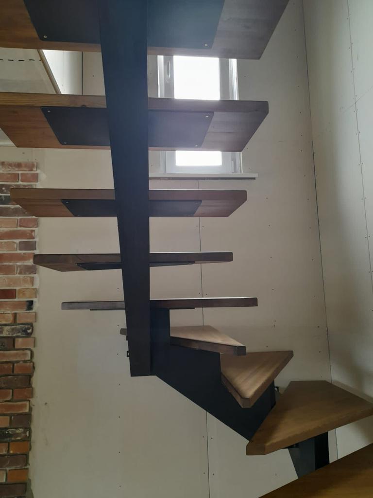 лестница на монокосоуре с забегом